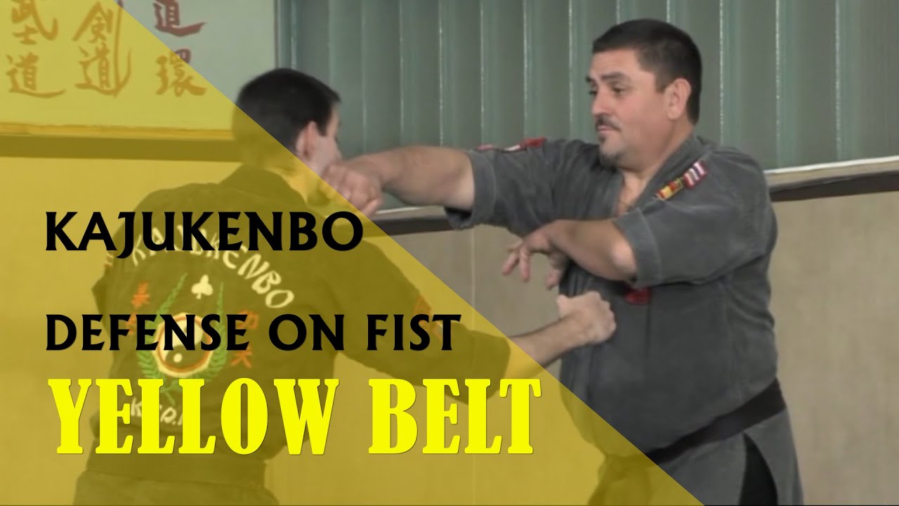 Kajukenbo Belt Promotion 1. Technique yellow Belt - Defence on fist no.1 (DVD267)