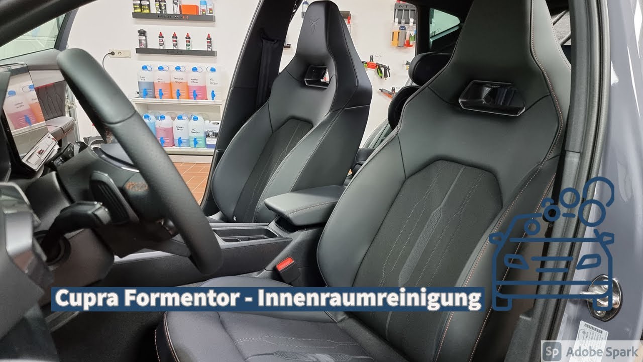 Cupra Formentor - Innenraumreinigung Teil 1