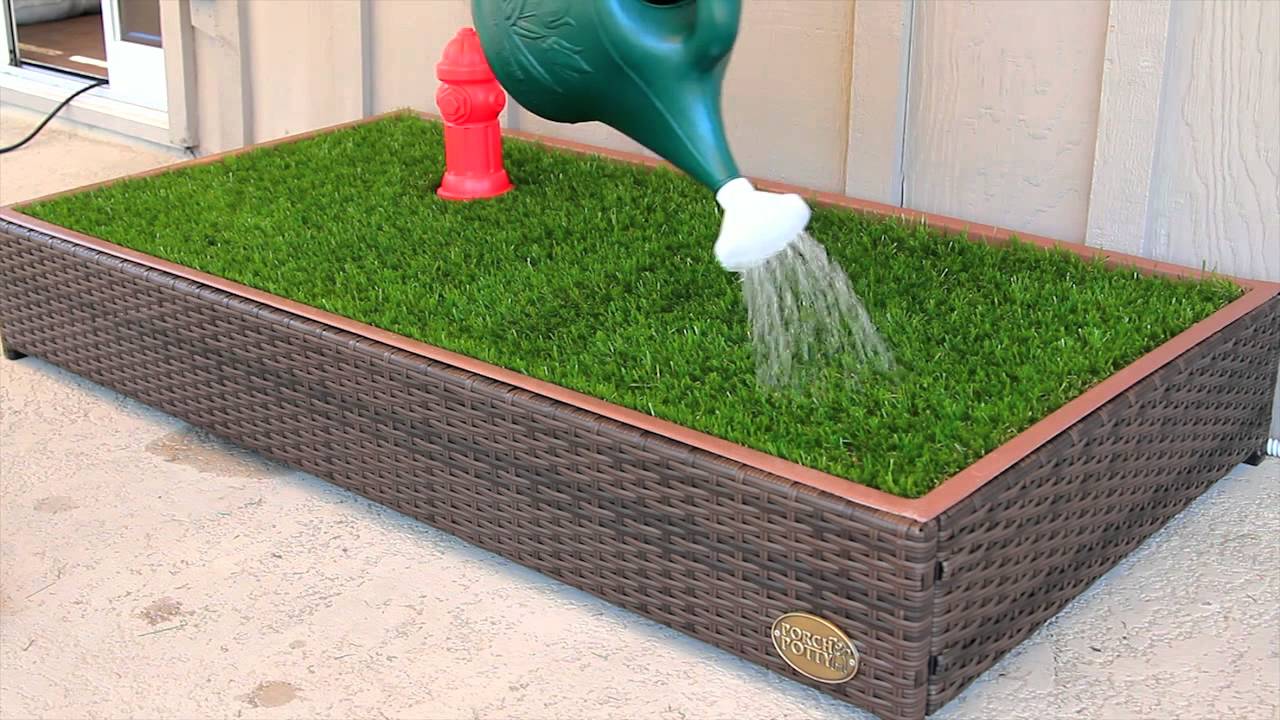 The Porch Potty™ — оригинальный травяной туалет для собак