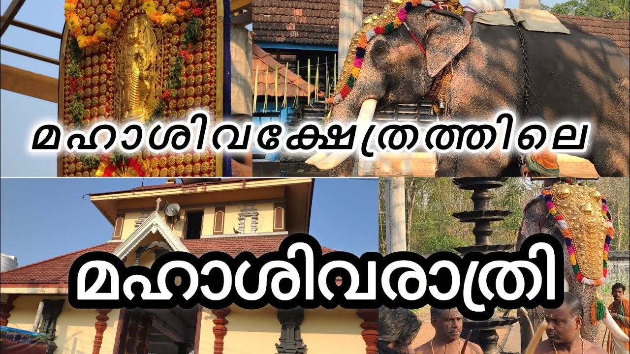 ശിവരാത്രി ആഘോഷം വെങ്ങാനെല്ലൂർ മഹാശിവക്ഷേത്രത്തിൽ | Venganellur Maha Siva Temple 