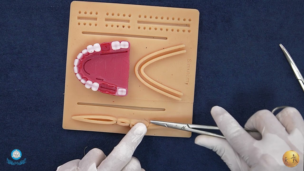 Understanding the Basic Principles of Suturing for Beginners! II MGMDCH