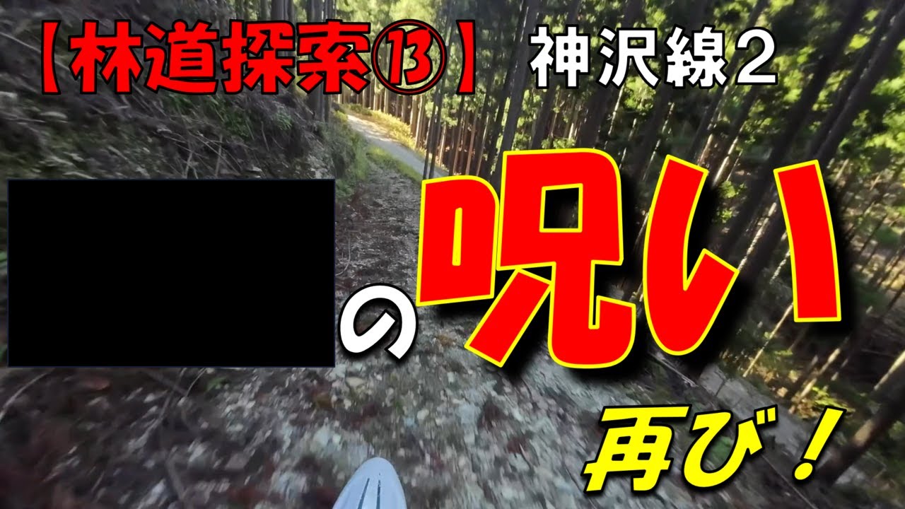 林道探索⑬ 神沢線（後半戦）■■の呪い再び！