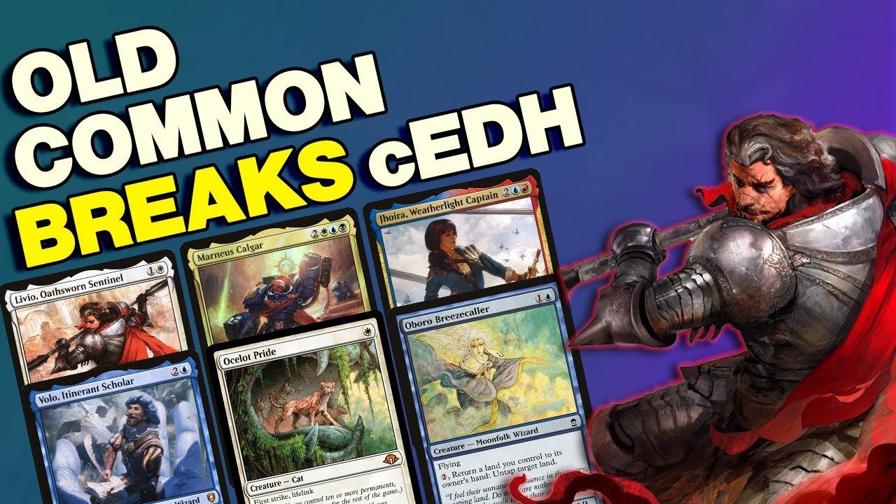 cEDH Meta Gets WILDER | Tournament Breakdown
