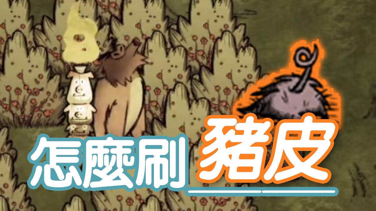 【DST】怎麼刷「豬皮」？玩家死了比活著還有用！