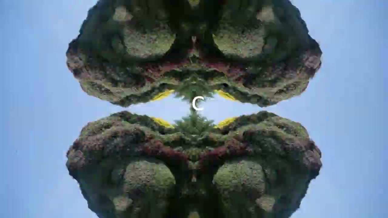 C I.A - Au jour d'aujourd'hui