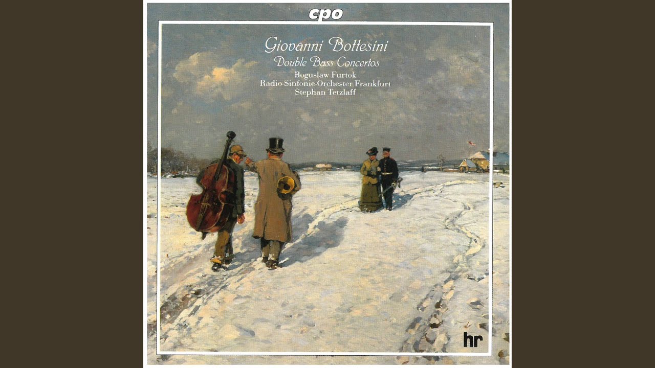 Double Bass Concerto No. 1 in F-Sharp Minor (Orch. M. Gaydos) : I. Introduction. Allegro moderato