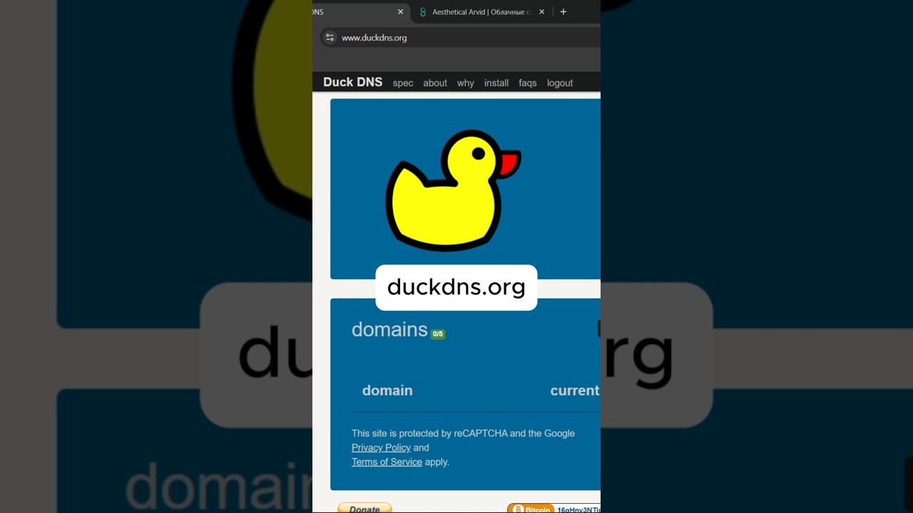 Бесплатный домен на Duck DNS