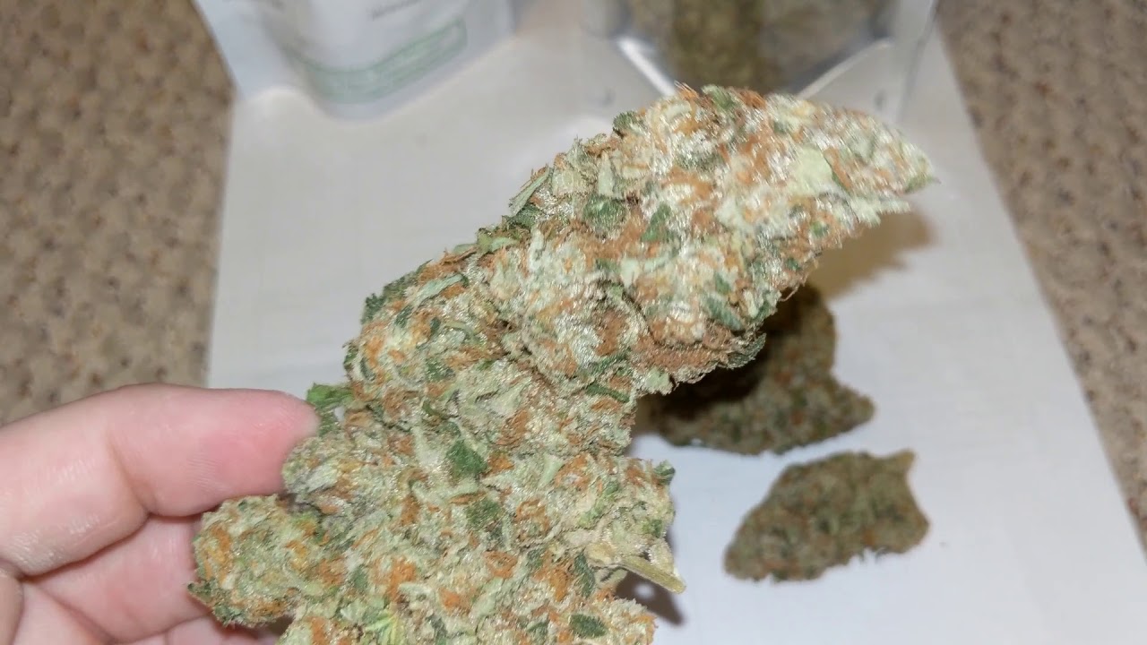 Mimosa Cannabis