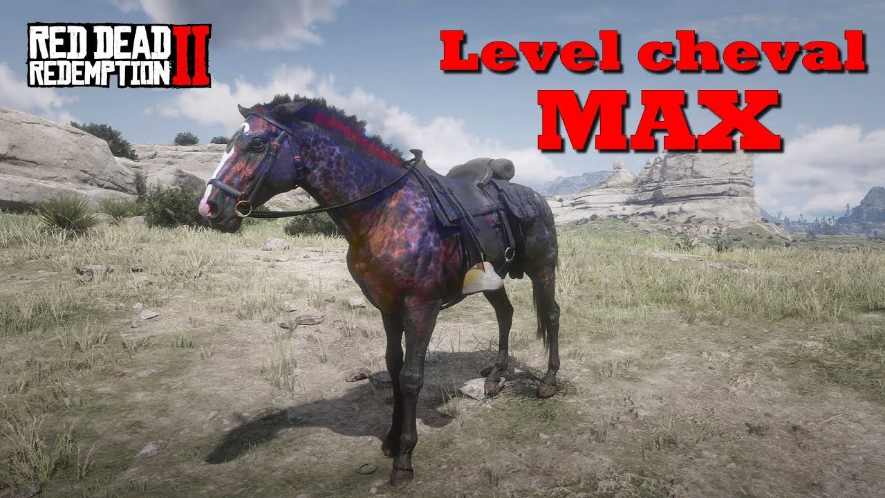 Améliorer son cheval au MAX ! - Red Dead Redemption 2