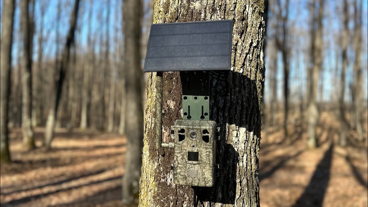 Tutorial 5:  setarea camerei de vânătoare ForestVision Live C7