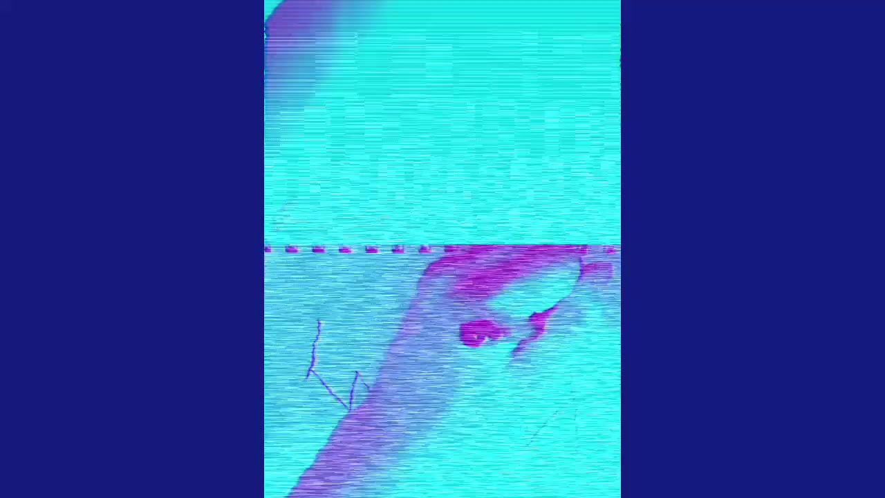 Waterboyz ENT-Chris Travis