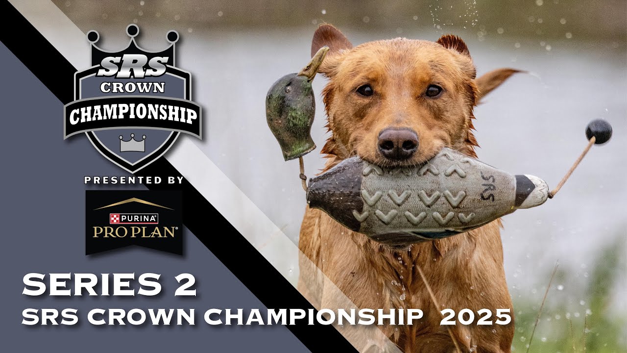 2025 SUPER RETRIEVER SERIES CROWN CHAMPIONSHIP - SERIES 2, PART 2
