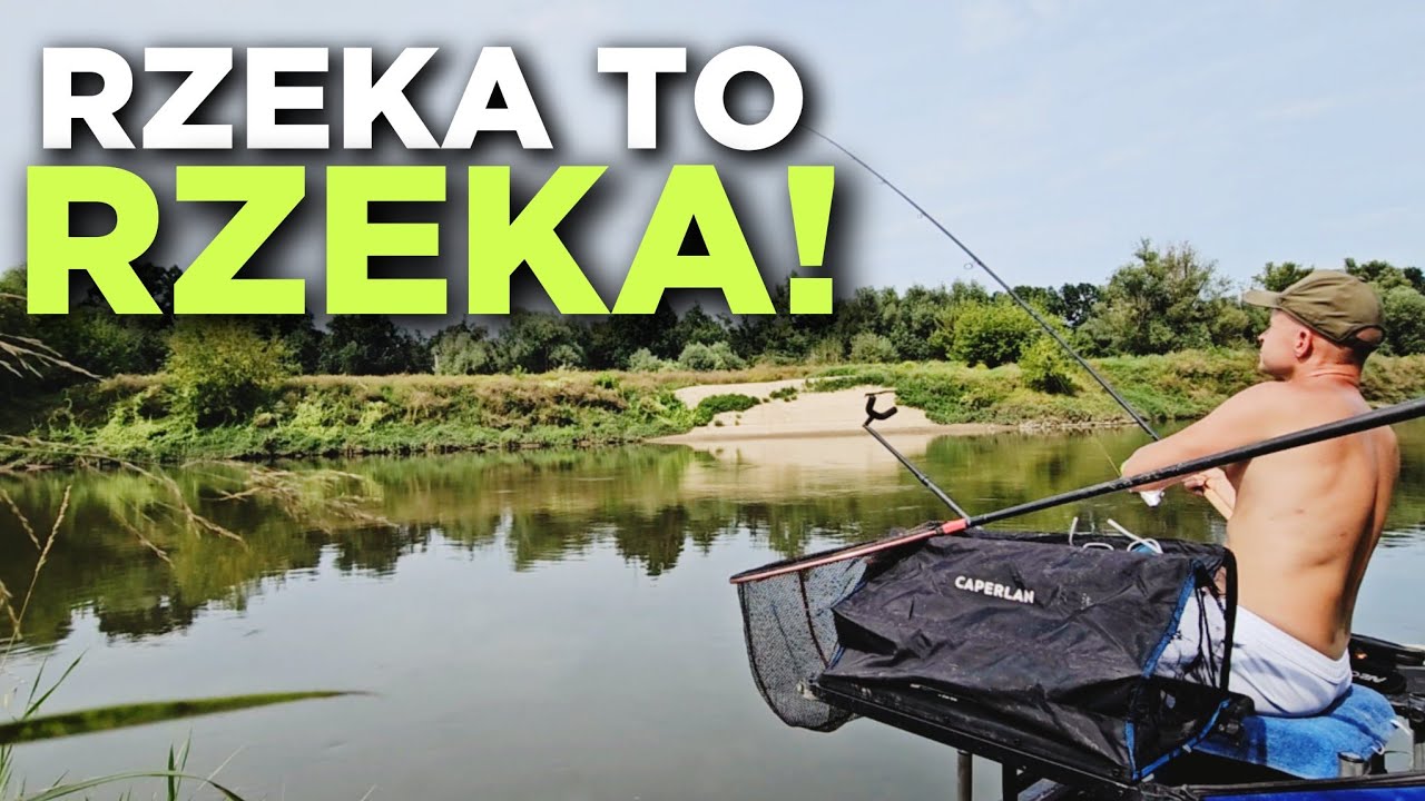 603 KOSZYKI JAK CEGŁÓWKI! RZECZNY FEEDER NA ODRZE! BAJKA NAD WODĄ!