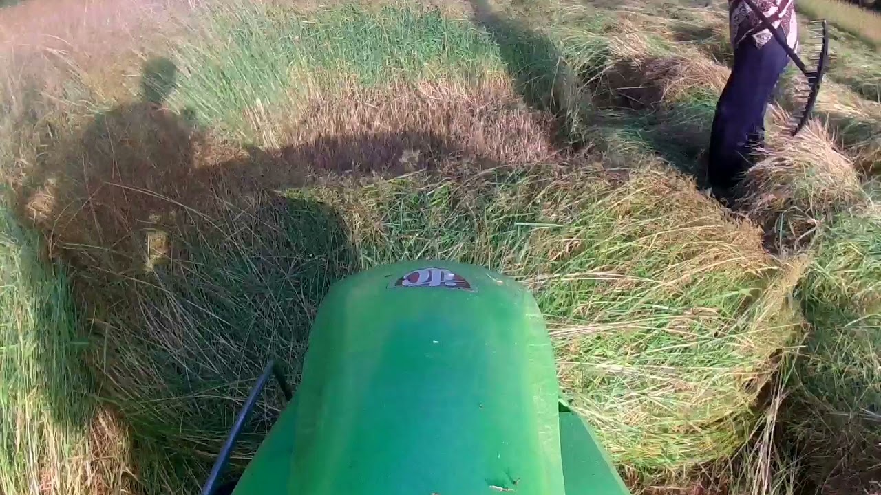 kosidba labin jul 2021