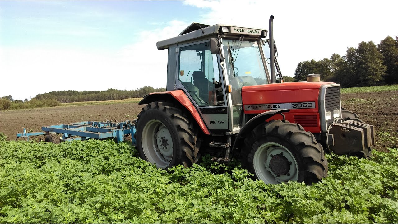 Talerzowanie poplonu Massey Ferguson 3060 + Fiskars #23 Z kamerą na głowie...