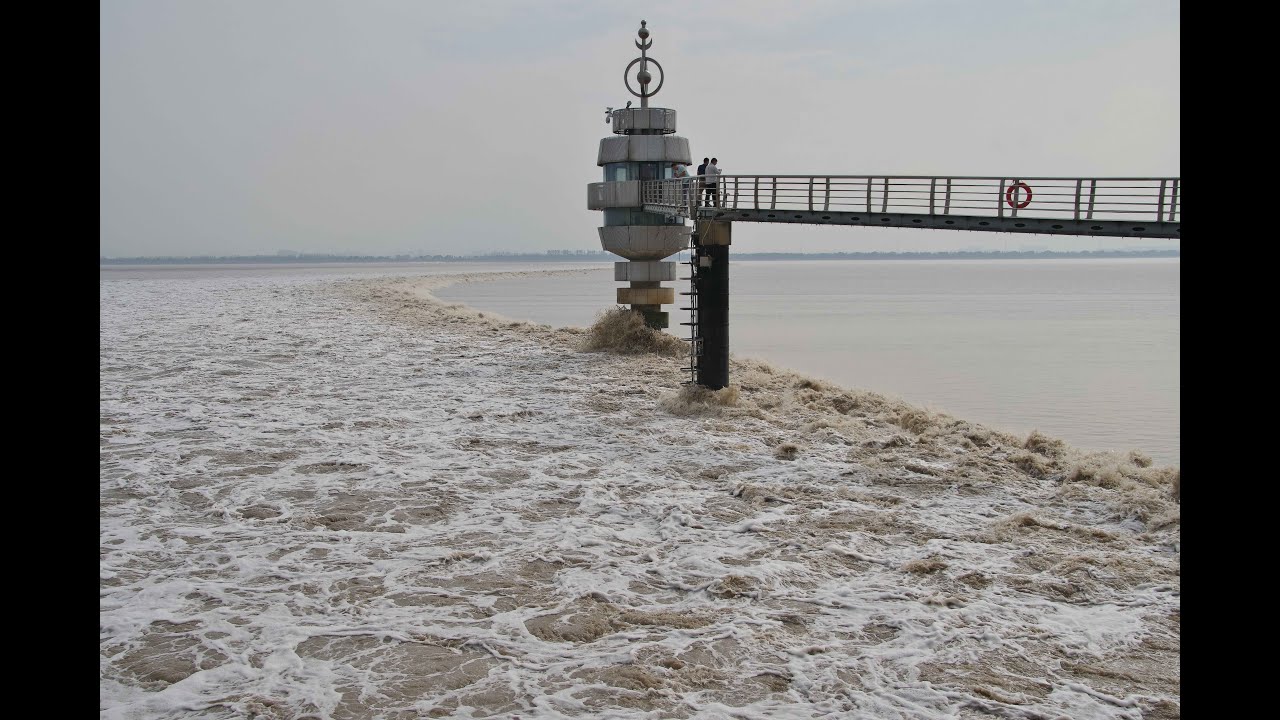 Qiantang River tidal bore at Yanguan on 21 October 2024