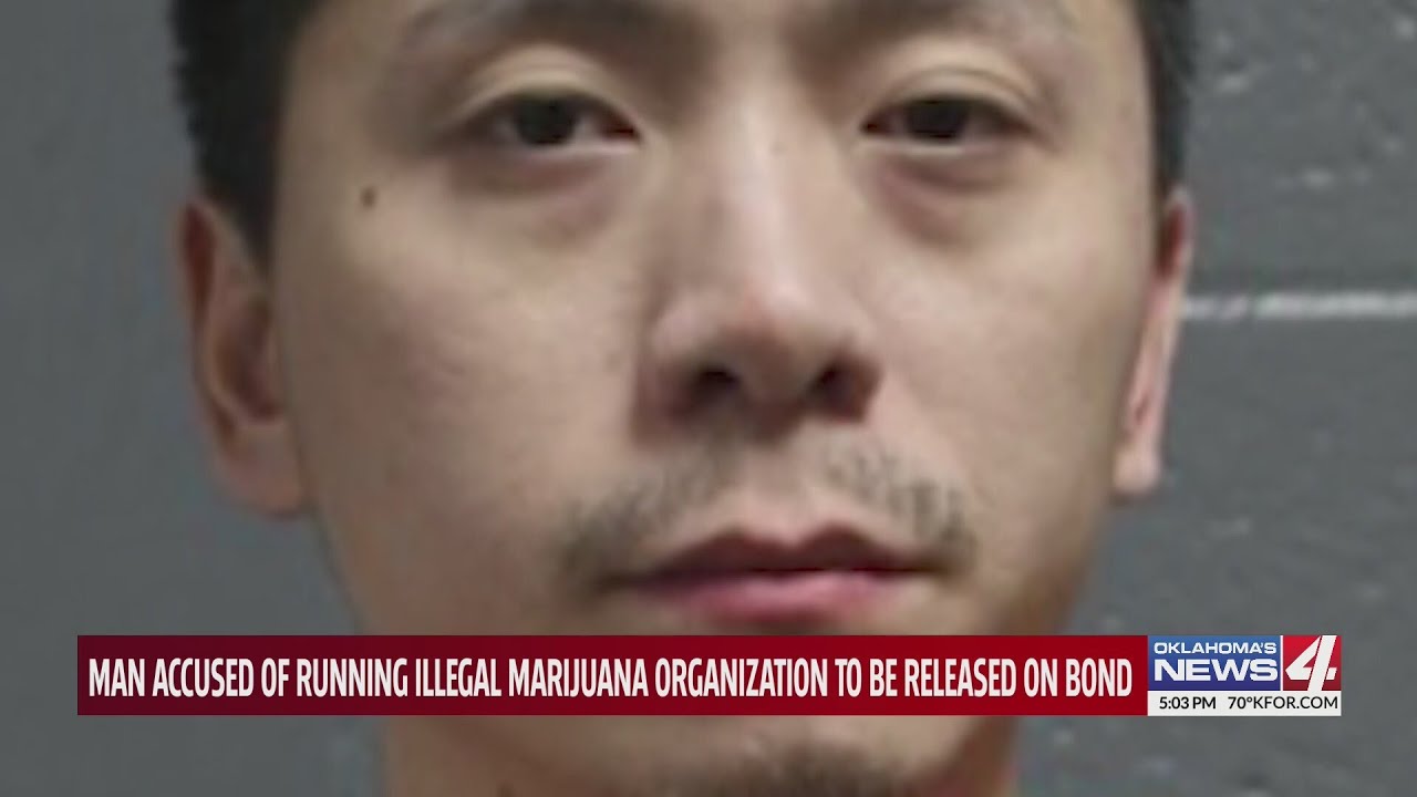 Man accused of running illegal marijuana organization to be released on bond