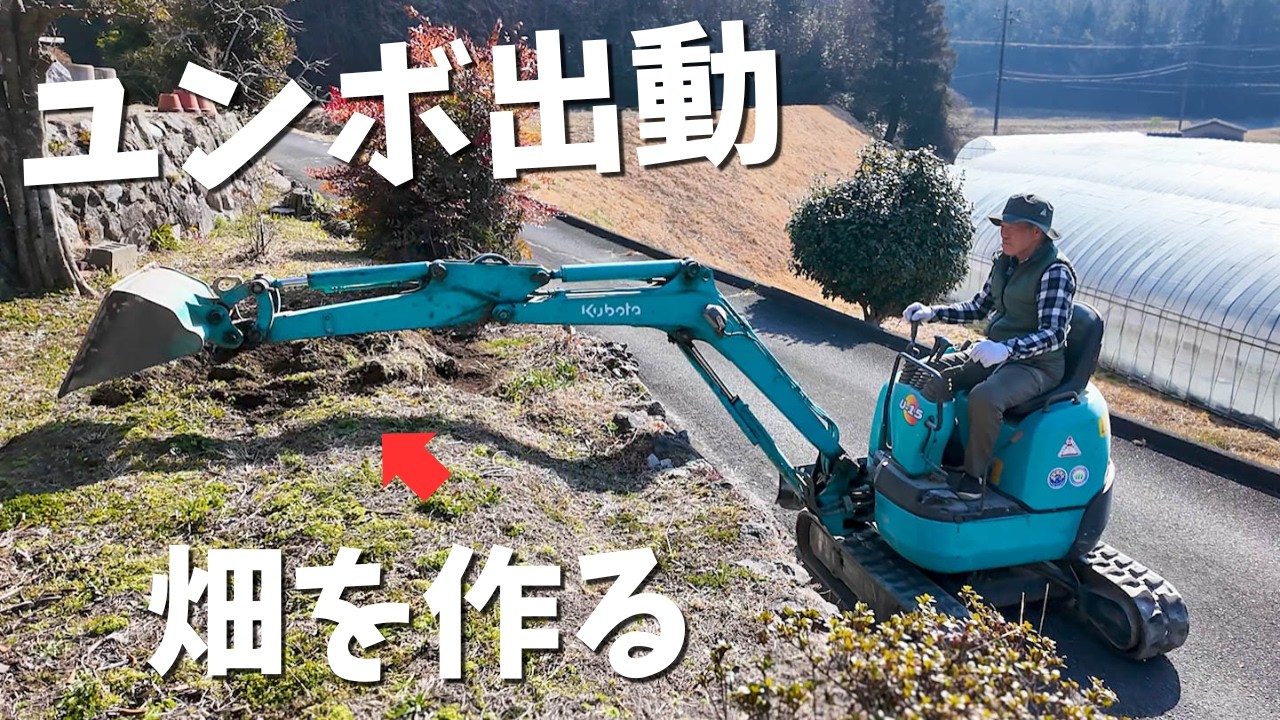 【ユンボ出動】荒地を耕して畑づくり！夫婦で開拓しました【山口県の田舎暮らし】