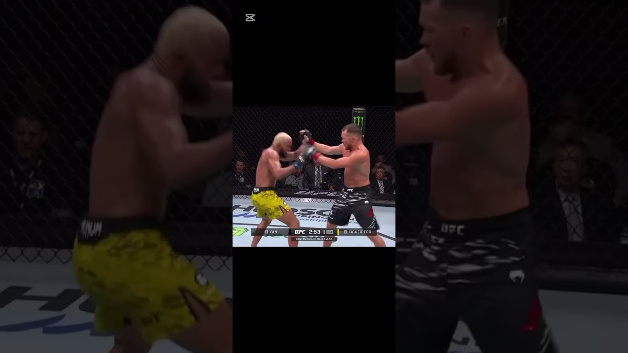 Petr Yan vs Figueiredo #ufc #martialarts #mma #boxing #wrestling #muaythai #kickboxing