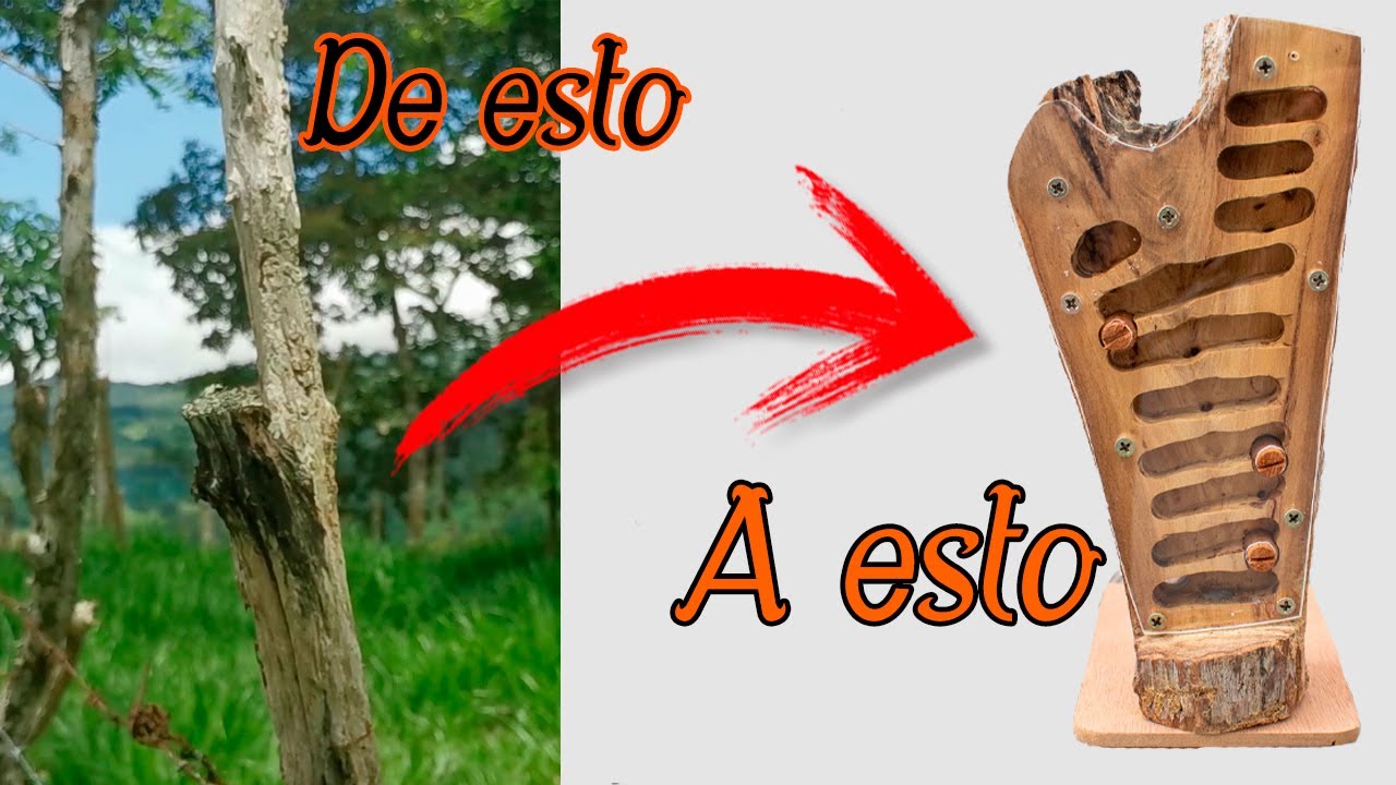 Como obtener un Hormiguero de madera la naturaleza | En busca de colonias salvajes