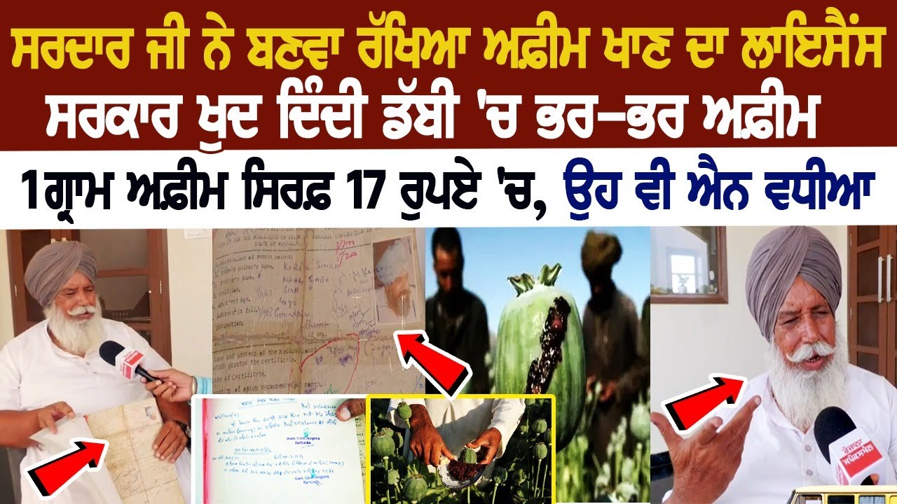 ਆਹ ਨੇ Punjab ਦੇ Licensee ਅਮਲੀ ! Afeem ਖਾਣ ਲਈ ਬਣਵਾ ਰੱਖਿਆ ਪੱਕਾ license ਹਰ ਮਹੀਨੇ 3 Gram ਅਫ਼ੀਮ ਸਰਕਾਰ ...