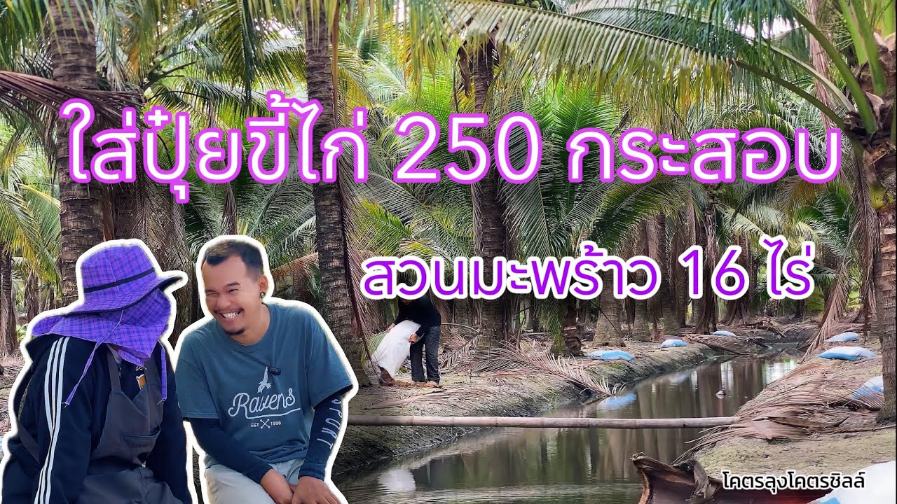 โคตรลุงโคตรชิลล์ | เชื่อไหม ใส่ปุ๋ยขี้ไก่ 250 กระสอบภายใน 1 วัน