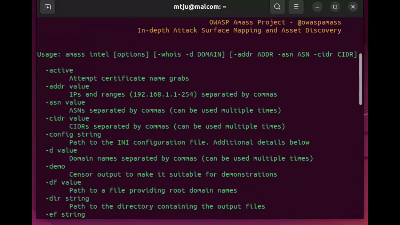 TMack - Amass Intel Help - #osint #amass #recon #tools