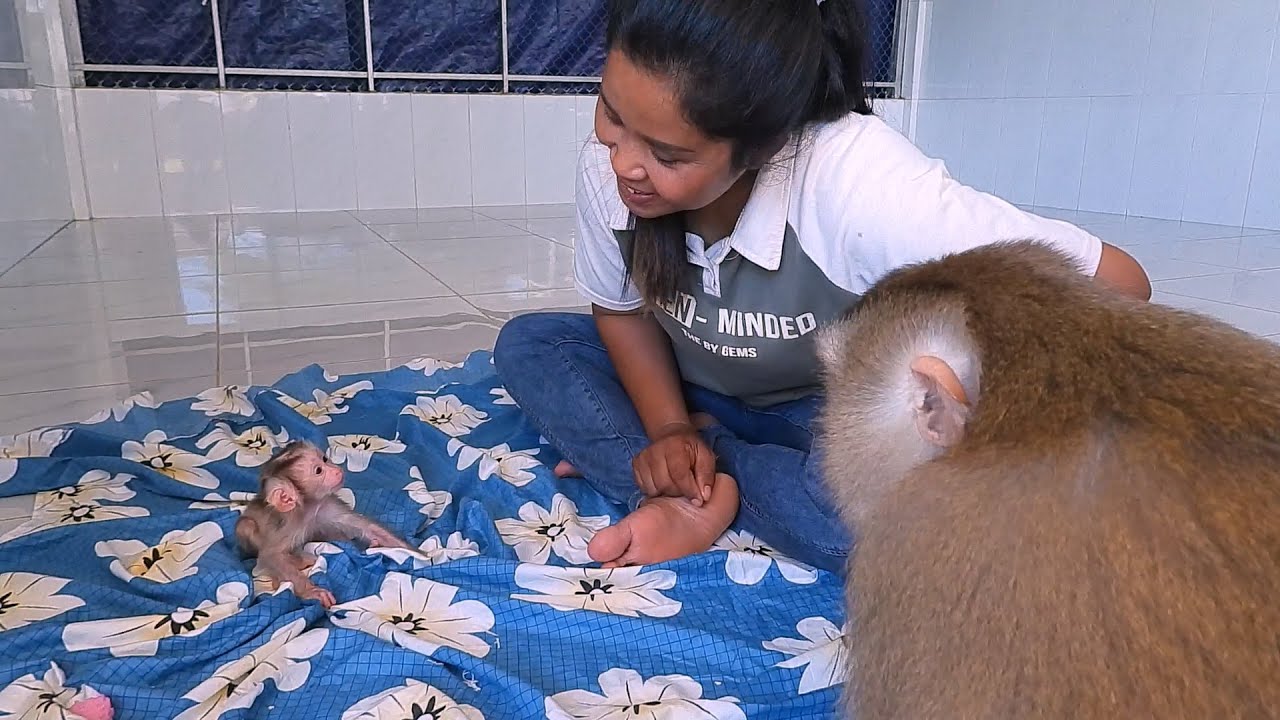Cute Newborn Listening Mom With Grandma Talk To Him