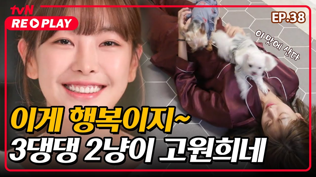 [온앤오프] 고원희와 아기천사들의 복닥복닥 러브하우스♥ | EP.38 #tvNREPLAY