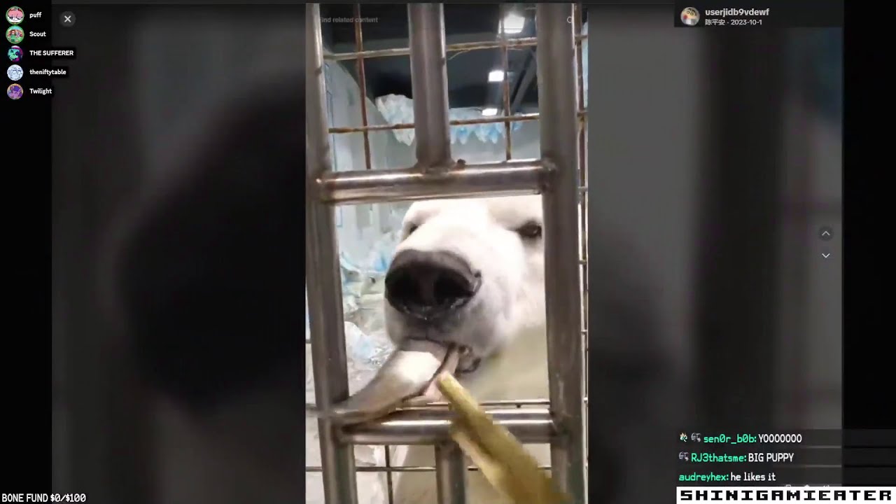 WATCH PARTY - watching my tiktok likes part 8 (Stream VOD 8/16/24)