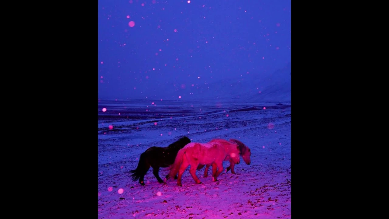 [FREE] Indie Dream Pop Type Beat - 