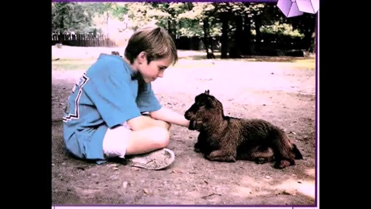 Jonathan Brandis (short original version) - Best movie roles in childhood and adolescence