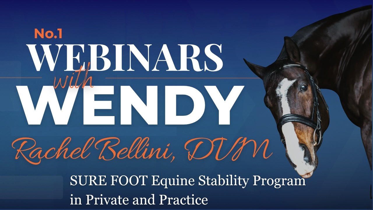 No. 1 Rachel Bellini DVM SURE FOOT Equine Stability Program in Private and Practice