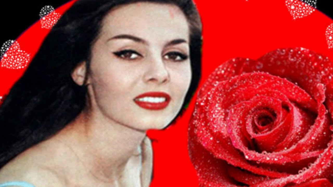 Великолепная Мишель Мерсье