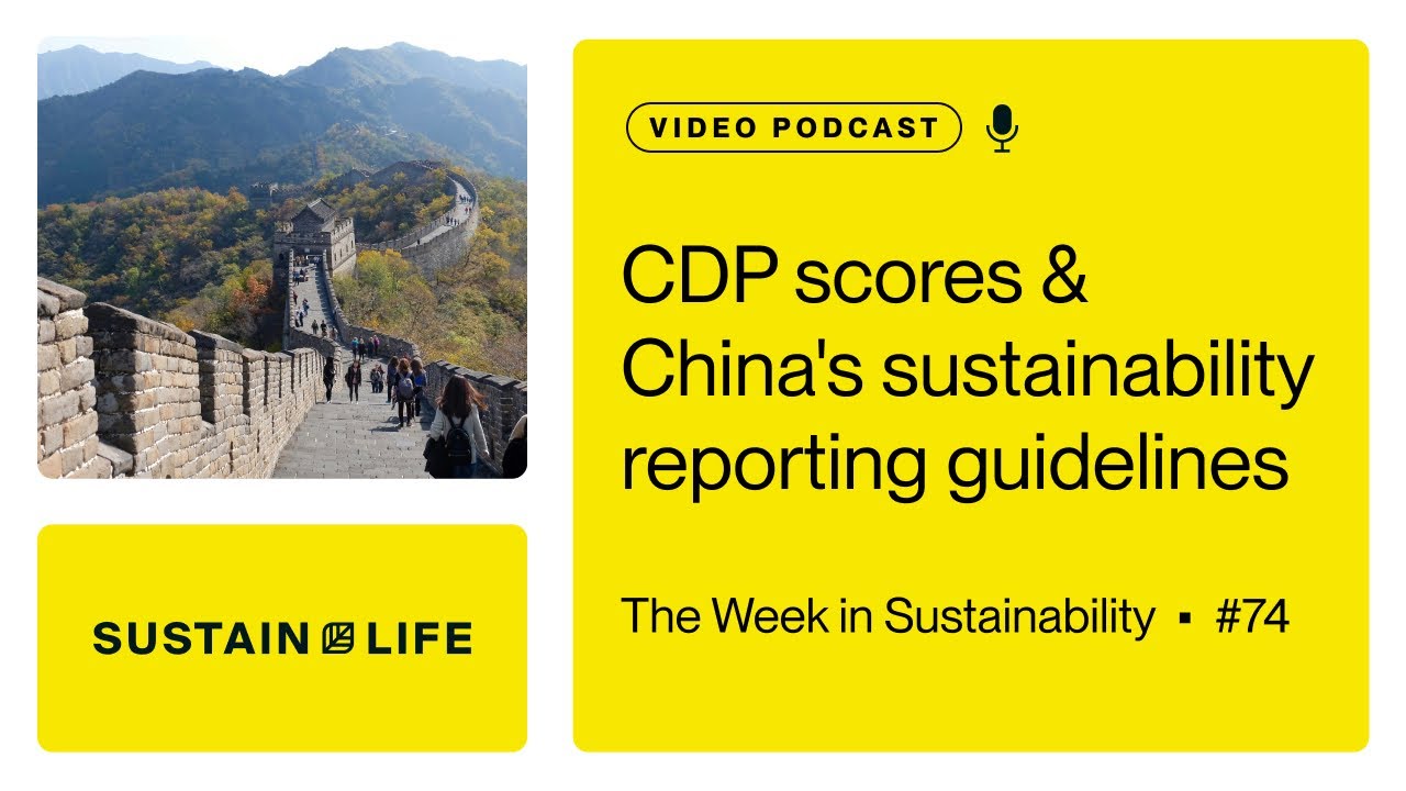 CDP scores & China's sustainability reporting guidelines // The Week in Sustainability
