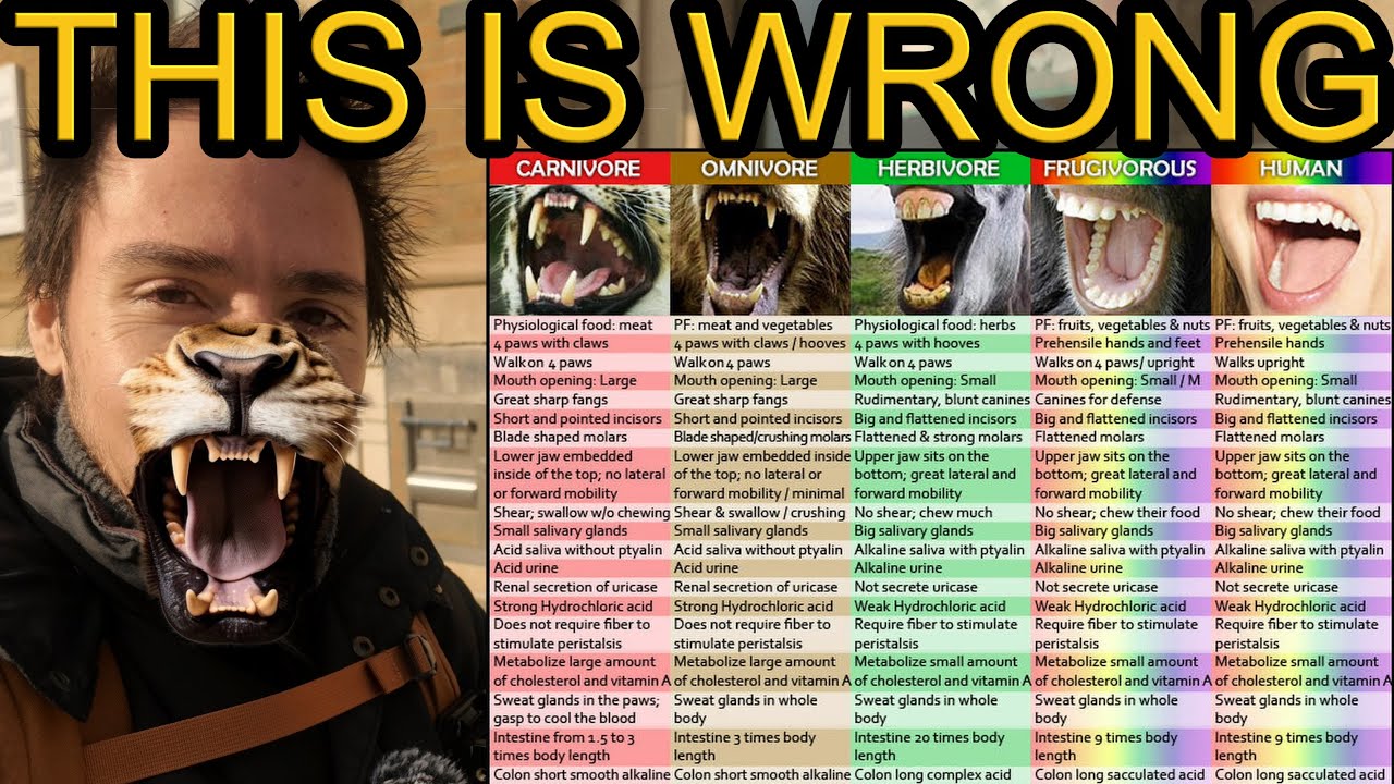 The Omnivore Myth (We Have No Species Specific Diet)