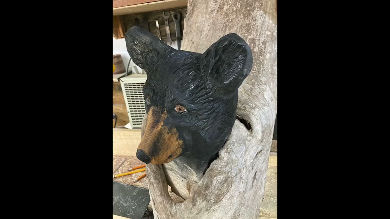 Driftwood Bear