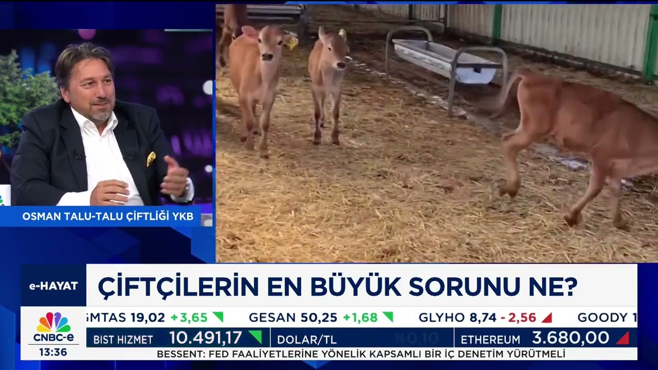 Talu Çiftliği Yönetim Kurulu Başkanı Osman Talu CNBC-e e-Hayat Programında