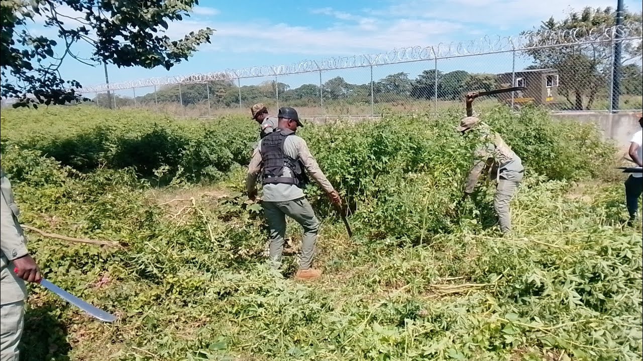 BSAP ap voye kout manchèt anfas dominiken yo Abinader pwal fache pousa wi kpk 