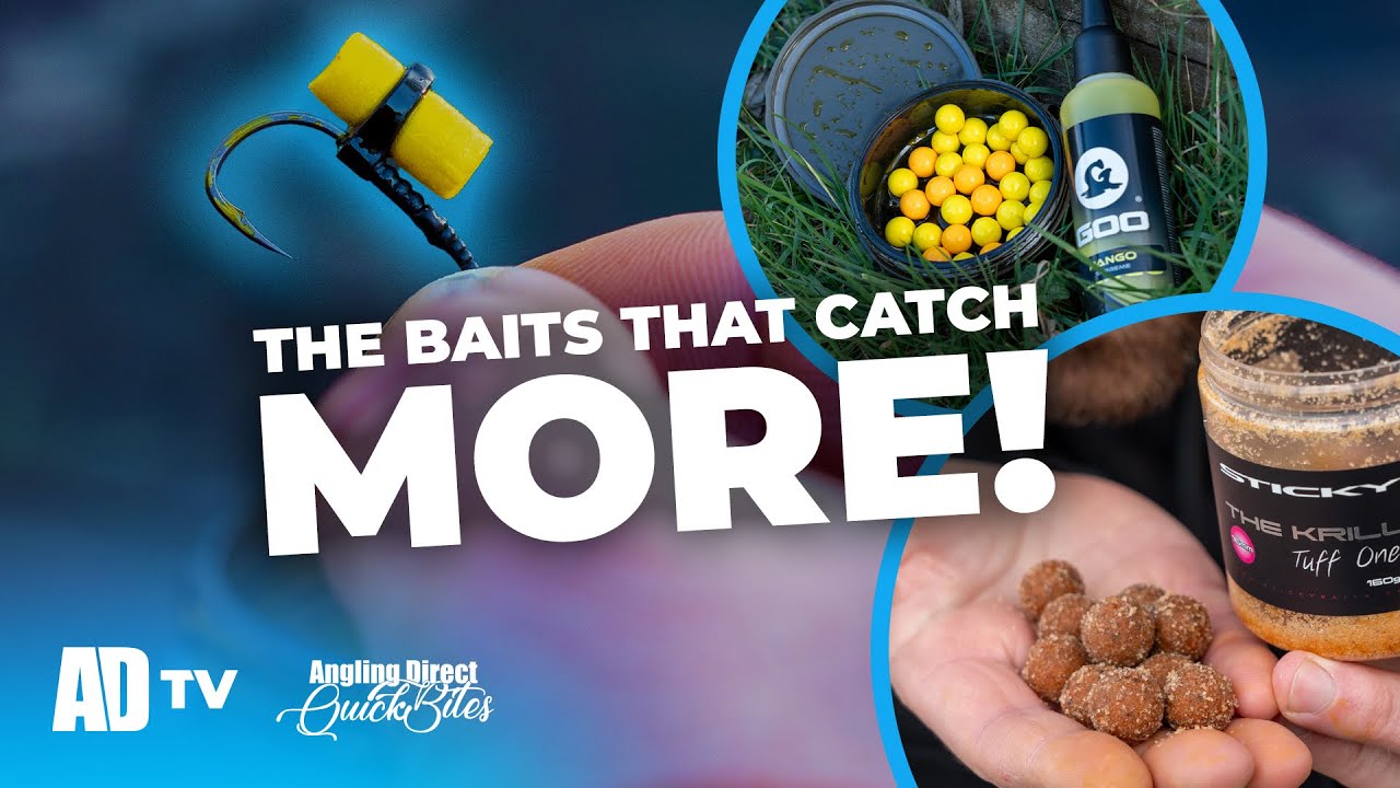 Hookbaits To Help You CATCH MORE FISH - Carp Fishing Quickbite