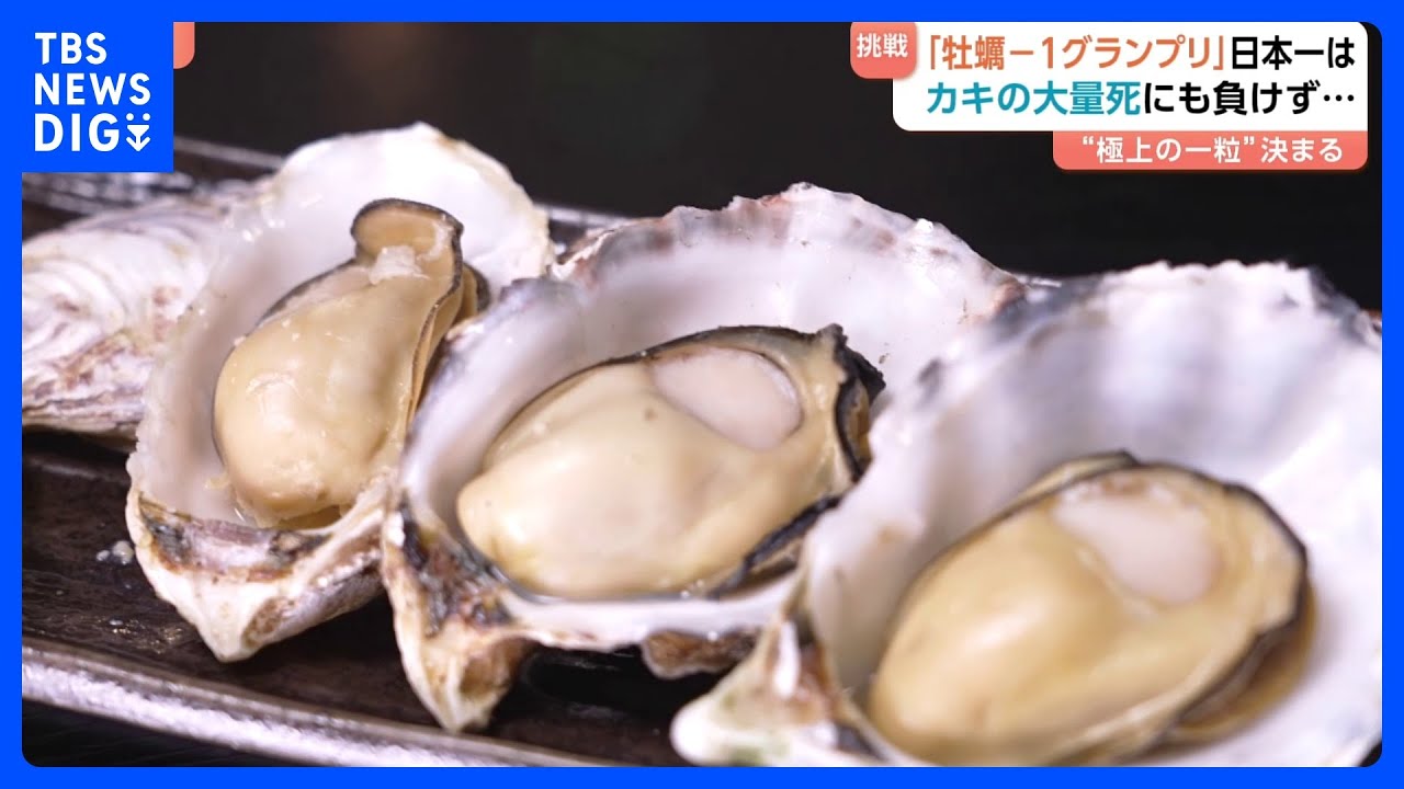 日本一美味しいカキを決める「全国牡蠣－1グランプリ2026」 王者の座は誰が！？海水温上昇による大量死も…歴史的苦境に挑む生産者に密着！｜TBS NEWS DIG