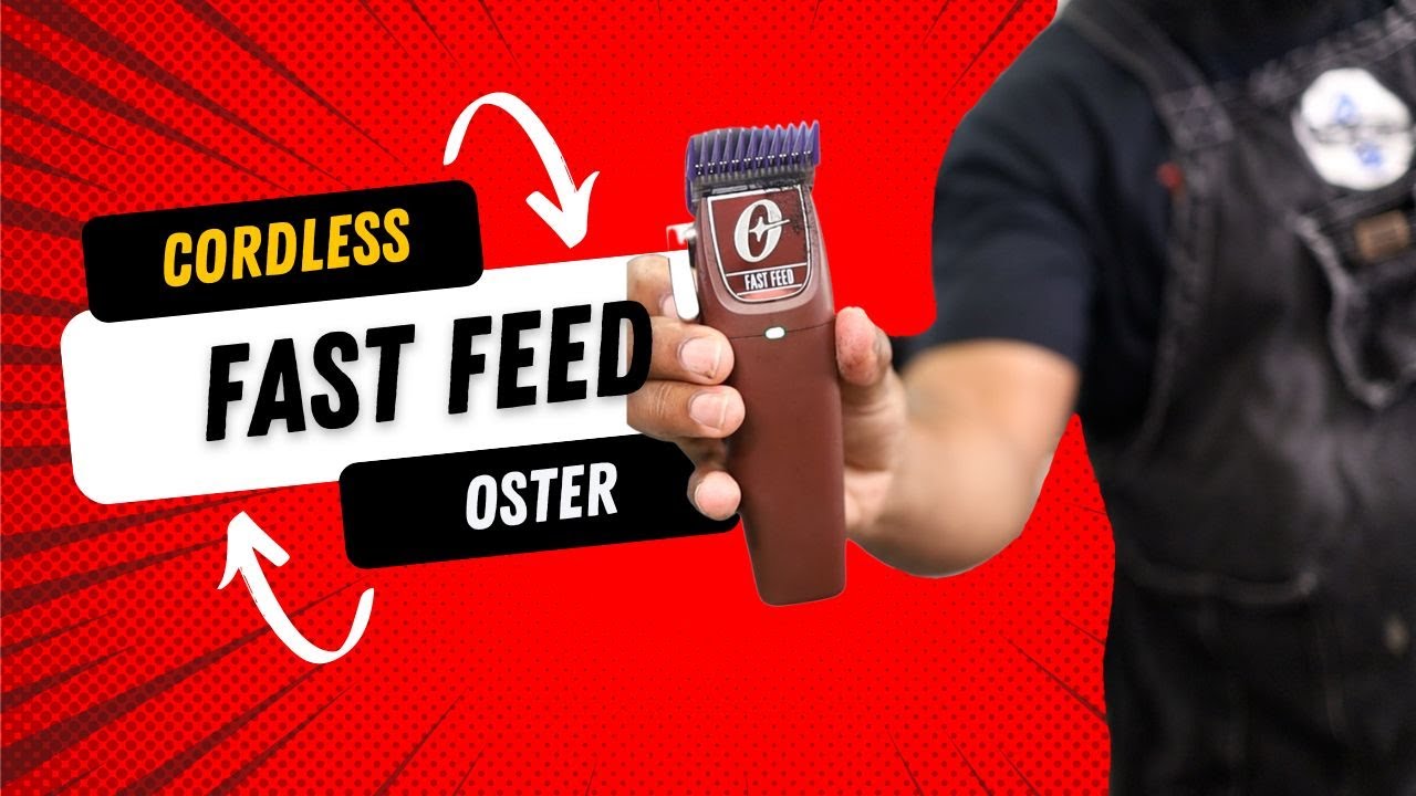 Finally got them... they broke! | Cordless Oster Fast Feed