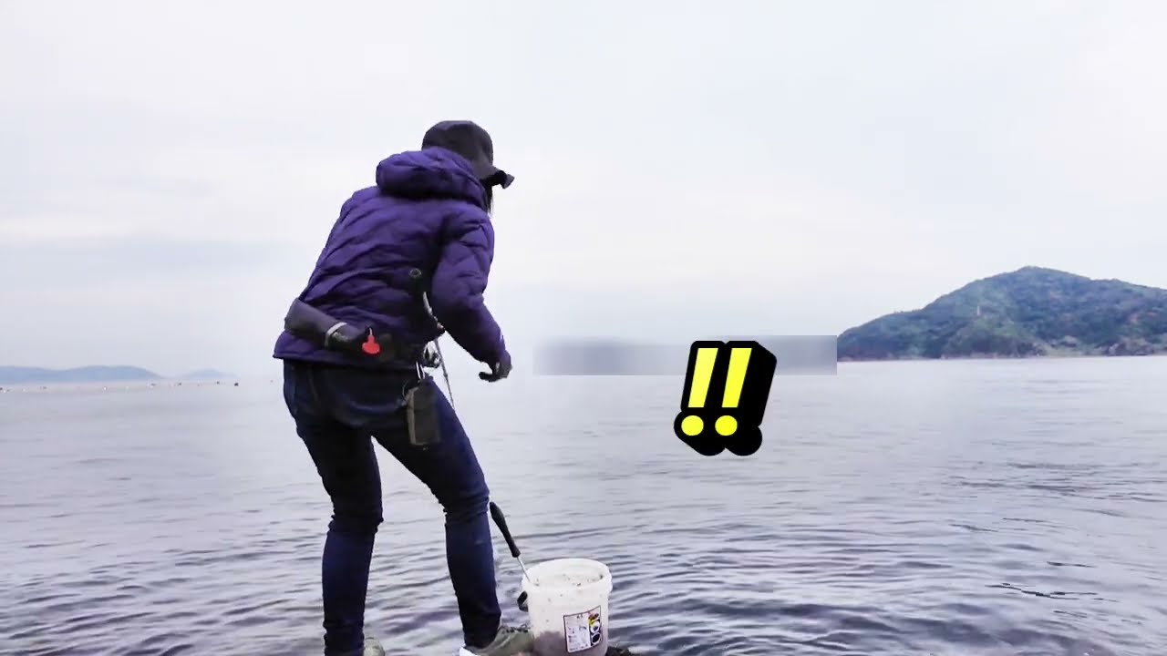 田舎で一人釣り暮らし！スーパーにはなかなか並ばないとても美味しい魚！