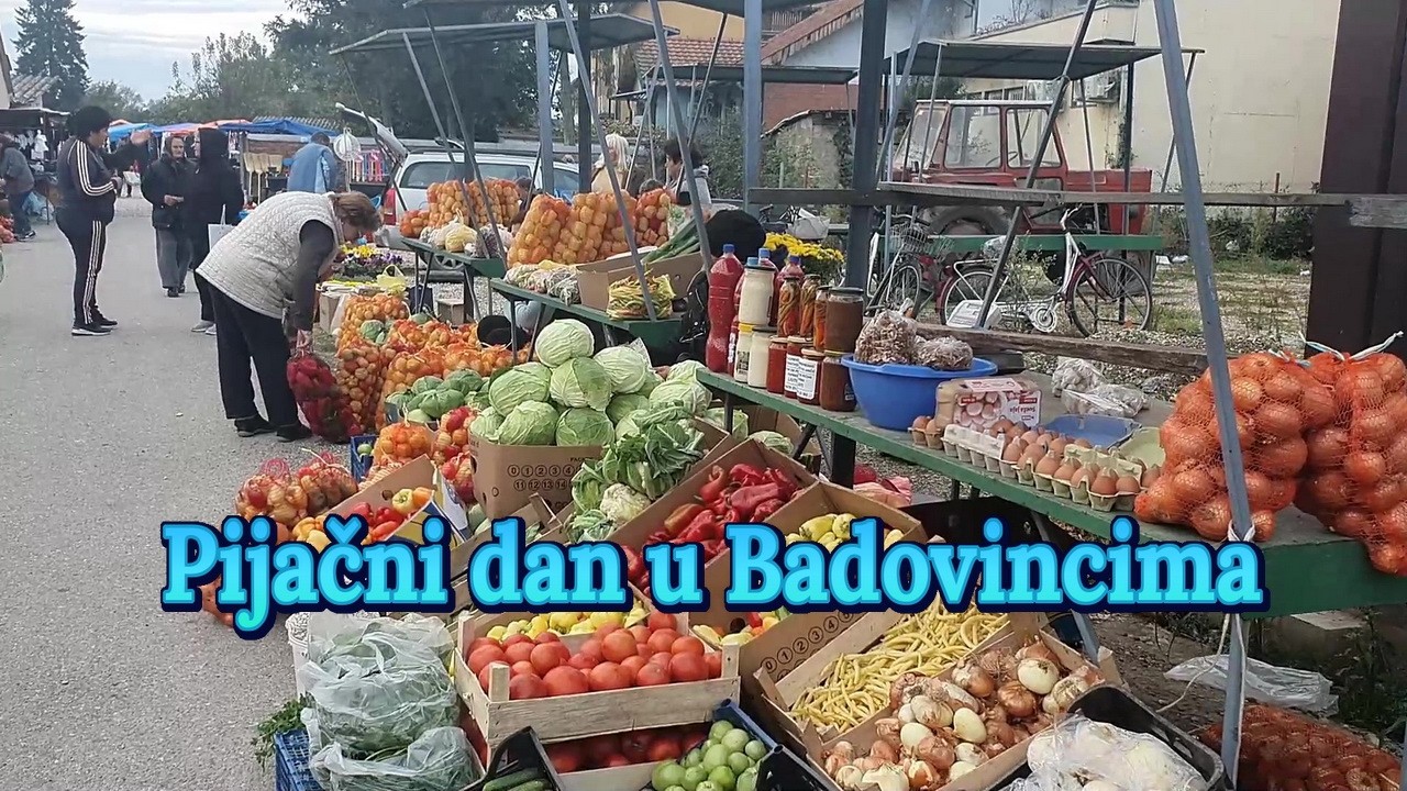 Pijačni dan Badovinci