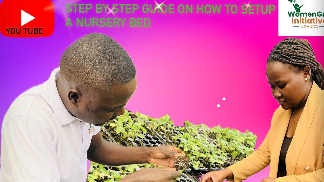 February 24, 2026