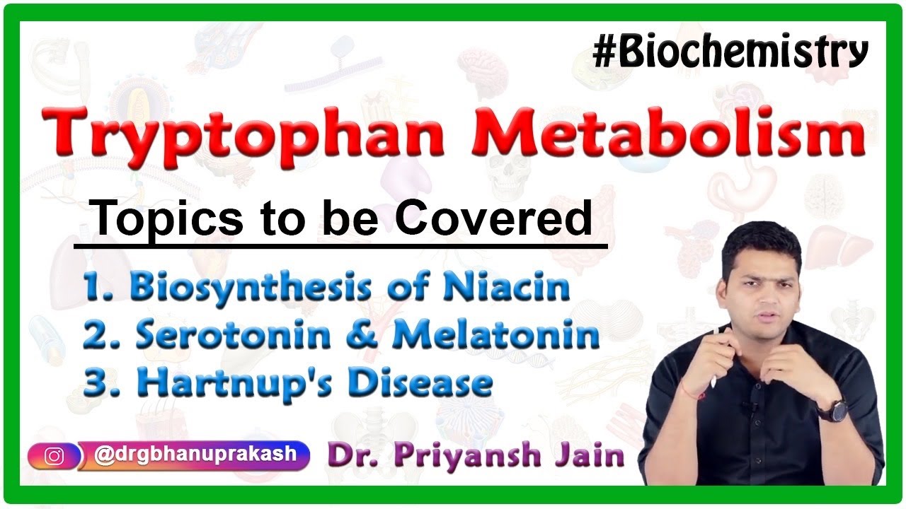 Tryptophan metabolism, Biosynthesis of Niacin, serotonin and melatonin, Hartnup's disease