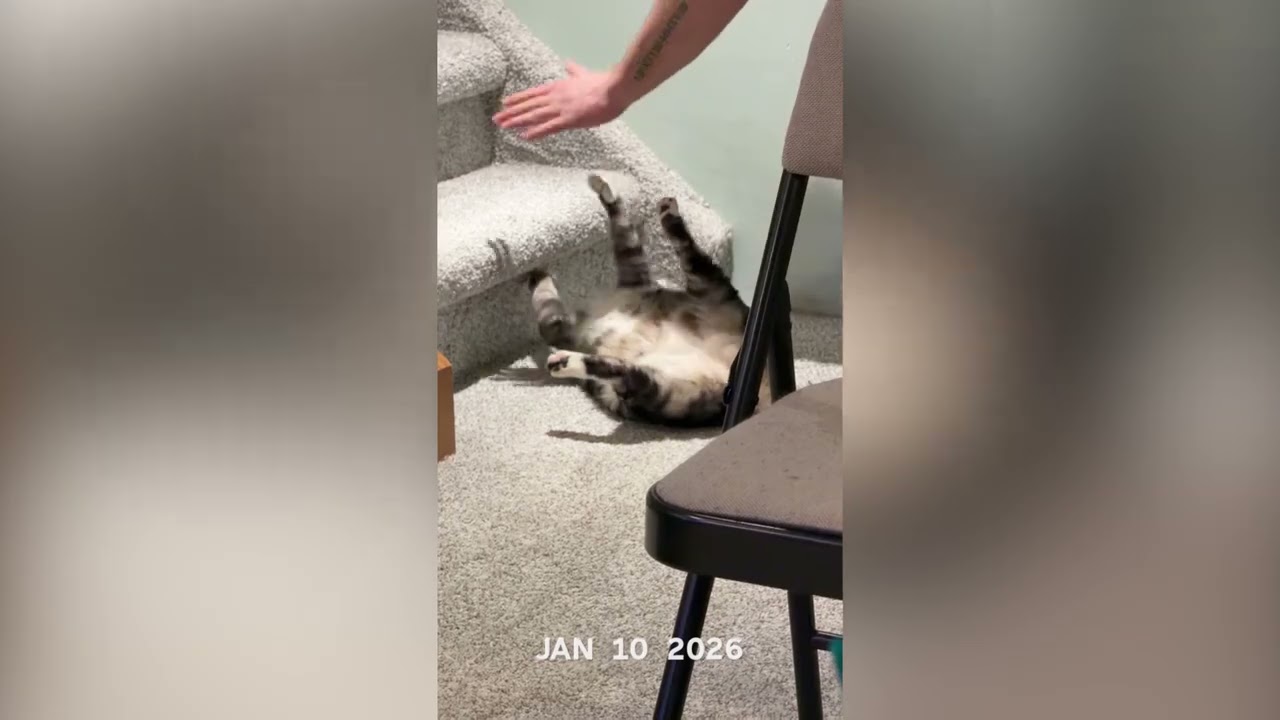 1 Second Everyday video for January 2026