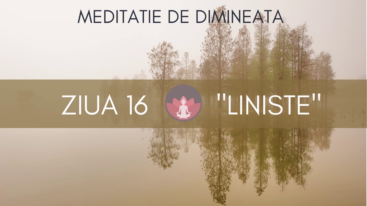 ZIUA 16 - 
