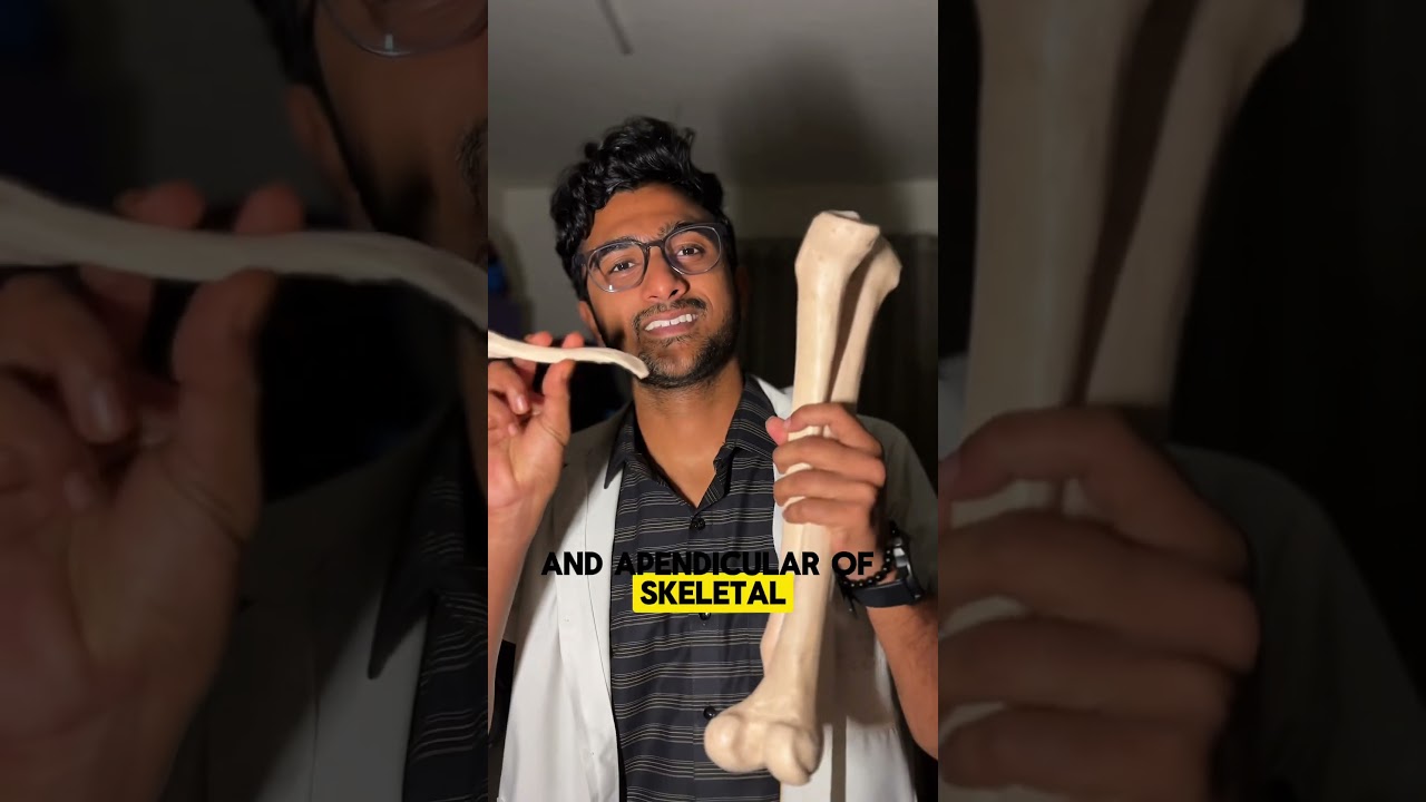 Things you will face in anatomy practical in 1st year of mbbs
