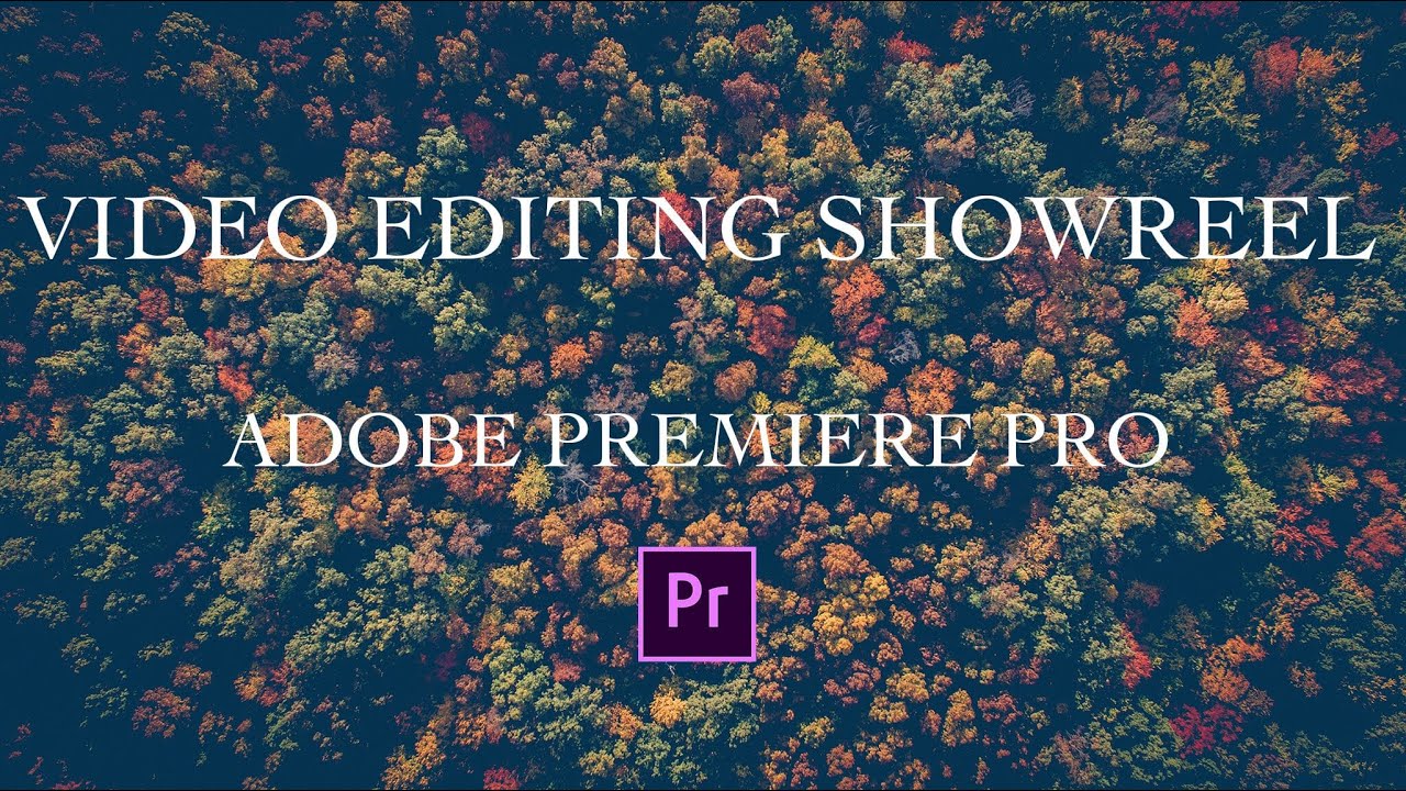 Video Editing Showreel | 2022 | Adobe Premiere Pro